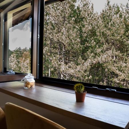 Zlatibor Apartman & Spa Casa Perfetta Buitenkant foto